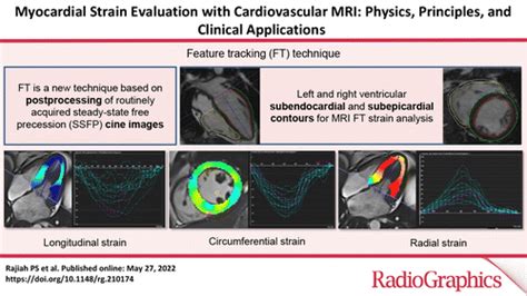 2d echo validity period|Myocardial strain imaging: review of general principles, validation .